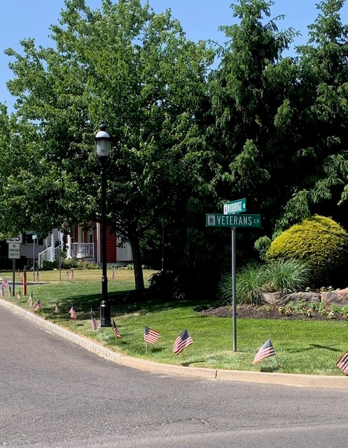 Veterans Lane Flags